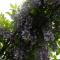 Colonna Country Home-52