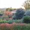 GiuMa Tuscany Historic Country House with Roof Terrace near Saturnia Spa-1