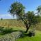 Country House Mimosa - Relax in jacuzzi tra i vigneti-32