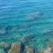Una finestra sul mare 1 - A window on the sea 1 - Nervi - Genoa-73