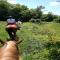 Farmhouse with stables, horses and the ability to make horseback riding-58
