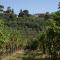 Casa Fontanino-31