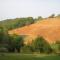 Agriturismo Bio-Ecologico Sant'Isidoro-78