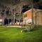 Villa Lucilla - B&B Rooms and Pool-6