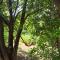 B&B Le Scintille-65