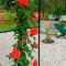 Guest House l'orto di Antonio-10