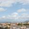 Pisa dall'alto
