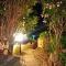 Rena Bianca House-9