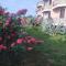 aranceto dell'Etna-18