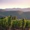 Ritzy Villa on a Wine Estate in Arezzo with Pool-13
