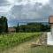 NEW! Apartment immersed in a vineyard-1