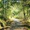 Borgo del Canto - Relaxing Country Retreat-7