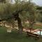 Villa con piscina nel Cilento Casolare Cento Ulivi Luxury & Charme-80