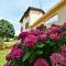 Holiday home in Castelnuovo del Garda - Gardasee 54558-28
