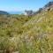 In the heart of the Apuan Alps with terrace-24