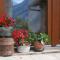 Villard Guesthouse-2