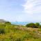 Turtle House-27