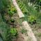Garden Relax-33