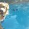 Nuraghe Ruiu Camping & Bungalow-56