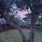 La CONCHIGLIA Bed & Breakfast-27