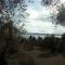 Terrace on the Lake-17