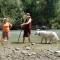 Casa Giulietta, dogs paradise-29