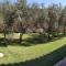 Casa vacanze "Gli Ulivi" Apt 3-3