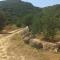 Su Frassu Authentic Gallura Stone House Vineyard Area near Olbia-42