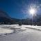 Appartament Alpenheim-0