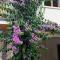 Charming Lake Garda Escape