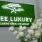 Tree Luxury-43