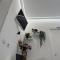 Nest Love collazia Roma 900mt dal Colosseo-87