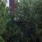 B&B Alicino-15