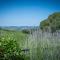 Le Colline del Chianti-17