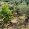 Hillside home with fantastic view - 7 beds - only 1h from Rome-24