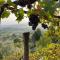 Hillside home with fantastic view - 7 beds - only 1h from Rome-28