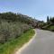 Hillside home with fantastic view - 7 beds - only 1h from Rome-53