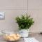 Angelico living Rome-24