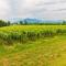 Casa Vacanza Dany in Franciacorta Vista Vigneti-35