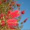 Il Borgo BagaBaga - Exclusive Country Retreat-95