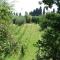 Apartment in Peccioli with Pool and Wine Tasting-27