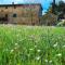 Tuscan Charm Near Volterra-11