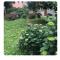 Cozy Flat via Savona- Tortona Milan-14