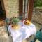 Apartment in Marche with Pool & Terrace-28