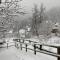 Chalet Alla Fonte - Wi-Fi, Netflix, Barbecue, Parking Space, a 3 minuti dallo Zoncolan-44