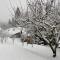 Chalet Alla Fonte - Wi-Fi, Netflix, Barbecue, Parking Space, a 3 minuti dallo Zoncolan-46