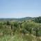 Charming Chianti Retreat-22