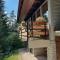 Ca'Mugo, a chalet in the magic woods, near Cortina-46