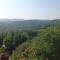 Podere Salceto, terrazza sul Chianti