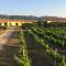 Agriturismo Campesi casale tra le vigne-18